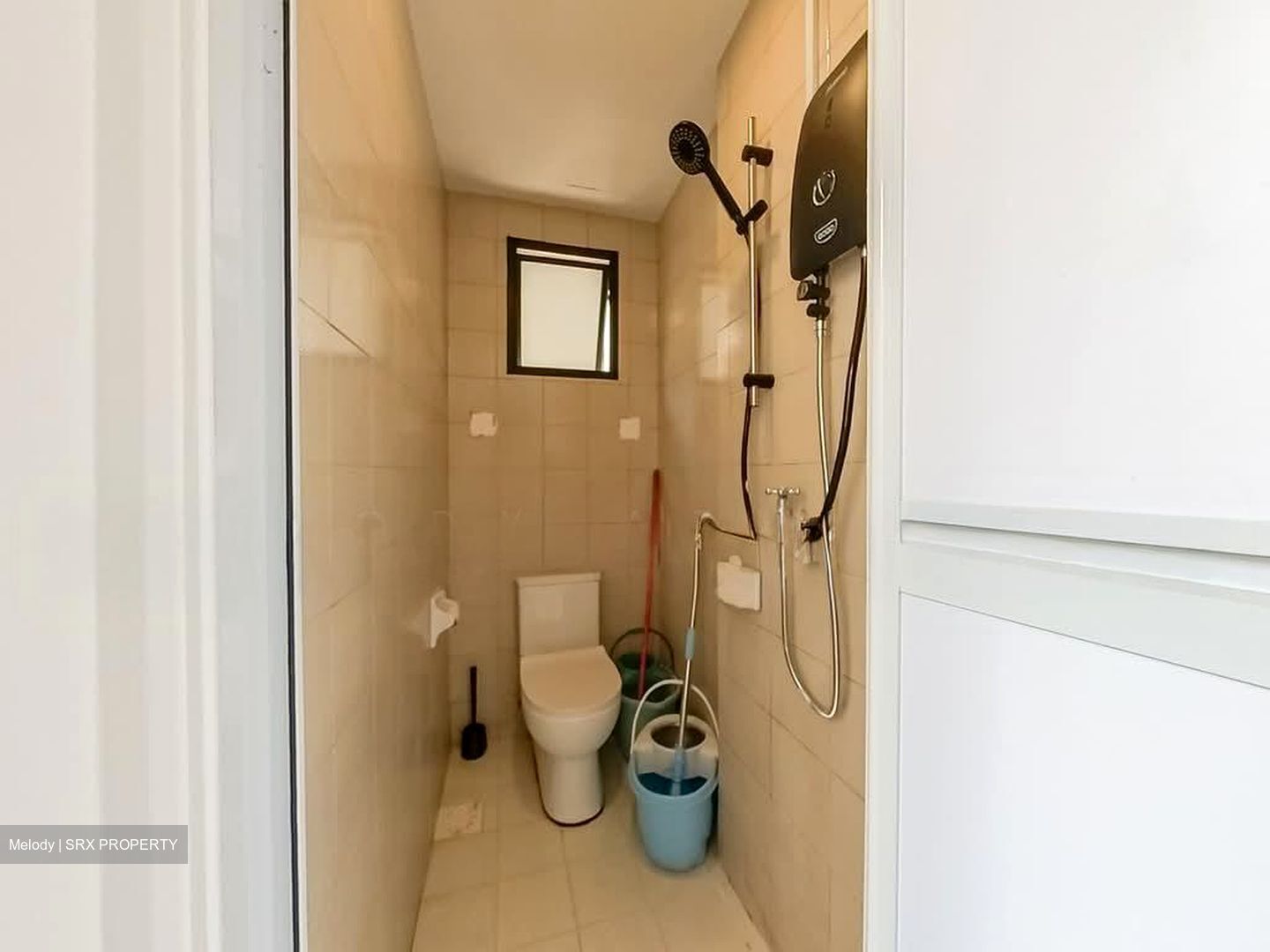 Heritage View (D5), Condominium #580818111